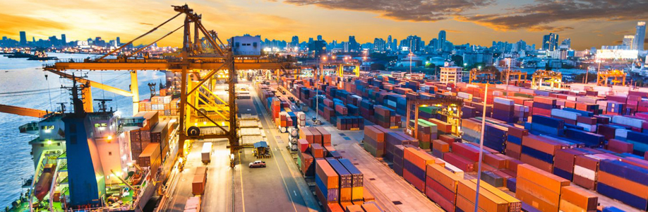 Digital Transformation for Import and Export/ Trading Industry  