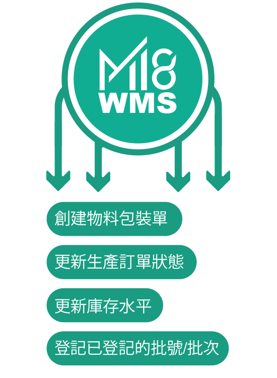 WMS_Cflow_E_m