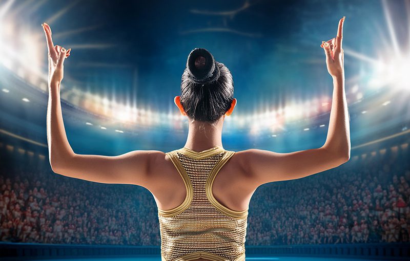 From Gymnastics to Business Software: The Role of HCM Systems