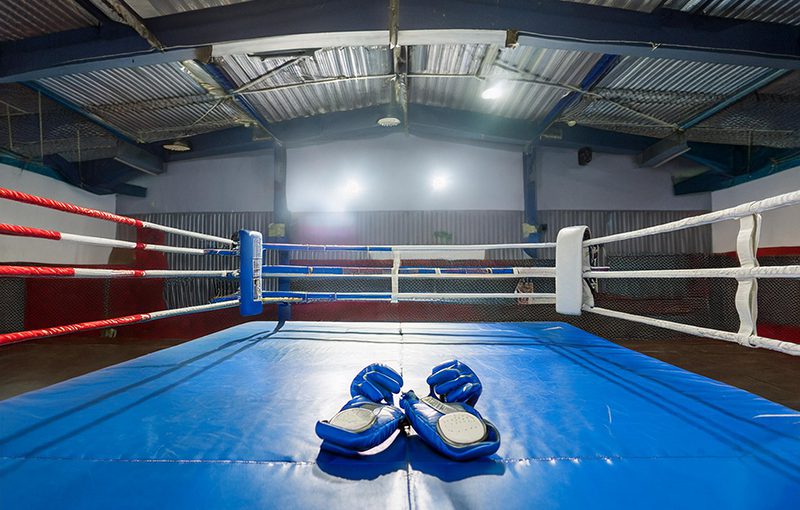 Revolutionizing the Business Arena: CRM Systems in the Ultimate Fighting Championship