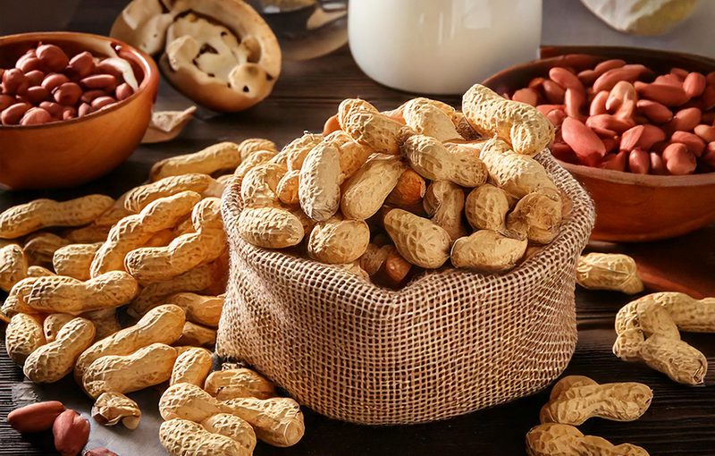 Navigating the Insights of SFA Peanut Product Recall in Hong Kong’s ERP Landscape